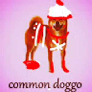 Meet your Posher, Joshua